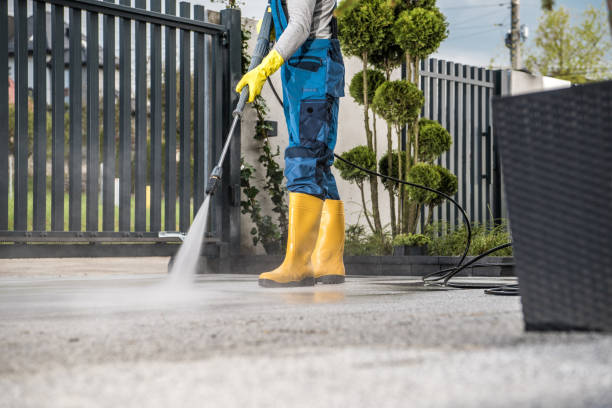 Best Roof Power Washing Services  in Hampstead, NC